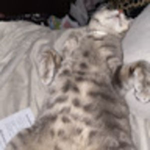 Meet your Posher, Nicholas